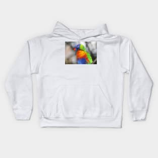 Rainbow Lorikeet Portrait #3 Kids Hoodie